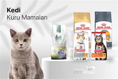 Kedi Maması Çeşitleri: Kuru, Yaş ve Doğal Mamalar