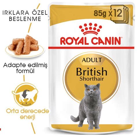 Kedi Maması İçerikleri: Doğru ve Dengeli Beslenme