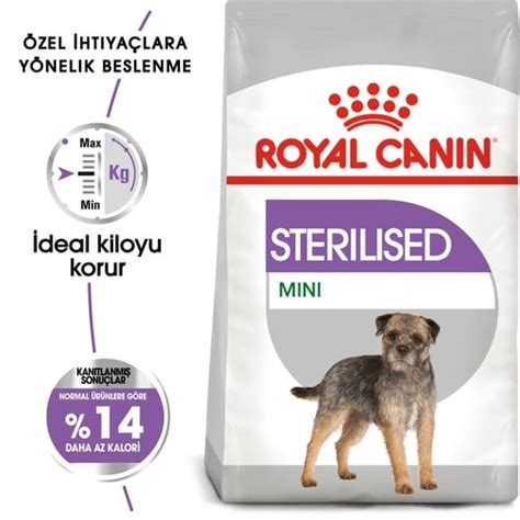 Kısırlaştırılmış Köpekler İçin Lif İçeriği