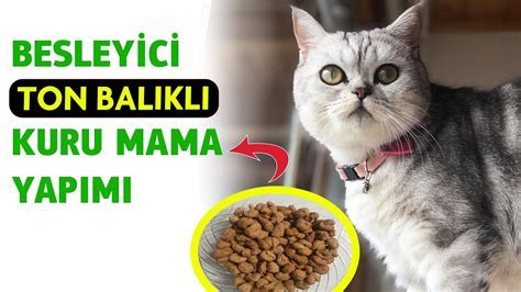 Kedilerde Alerji Sorunlarına Karşı Ev Yapımı Kedi Maması Tarifleri