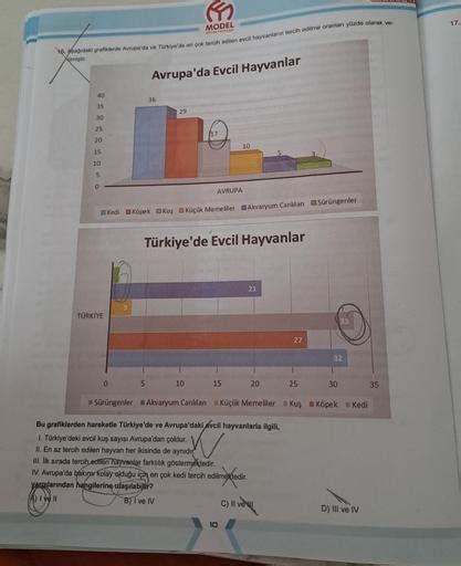 Kedi maması incelemeleri