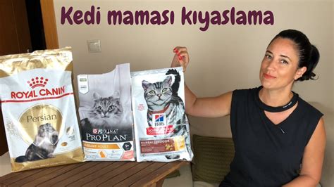 Kedi maması tavsiyeleri