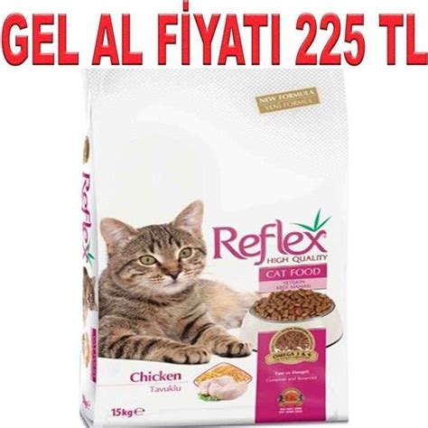 Kedi maması ve sindirim sağlığı