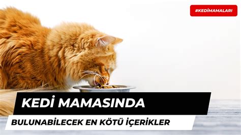 Kedi mamasındaki et türleri