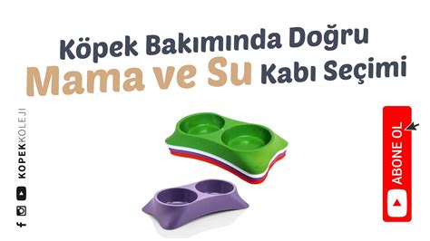 Kuş yemi ve su tüketimi