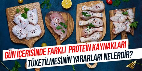 Protein içeren kuş yemleri