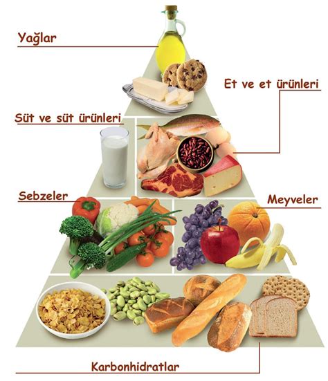 Protein içeren kuş yemleri