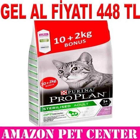 Yavru kediler için kedi maması