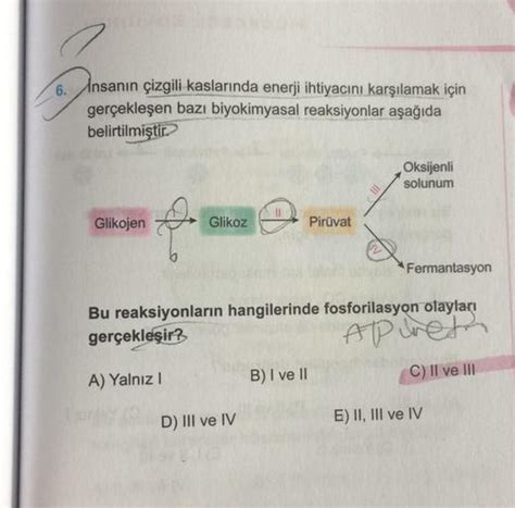 köpek maması içerikleri