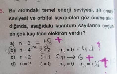 köpek mamaları ve enerji seviyeleri