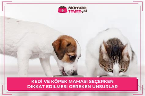 küçük ırk köpek mamaları