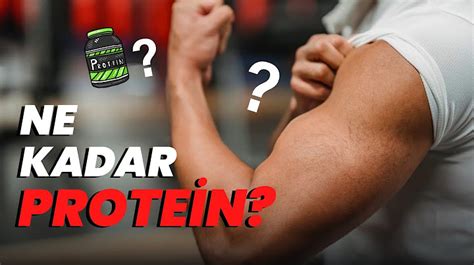 protein içerikli köpek mamaları